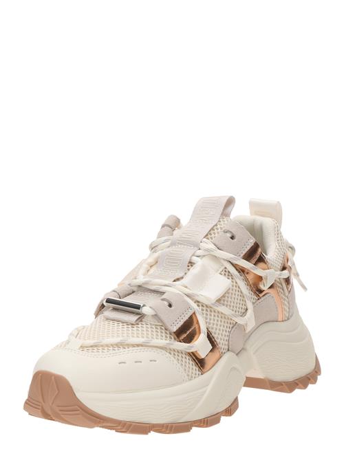 STEVE MADDEN Sneaker low 'TAZMANIA'  beige / bronze / uldhvid