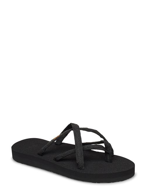 Olowahu Teva Black