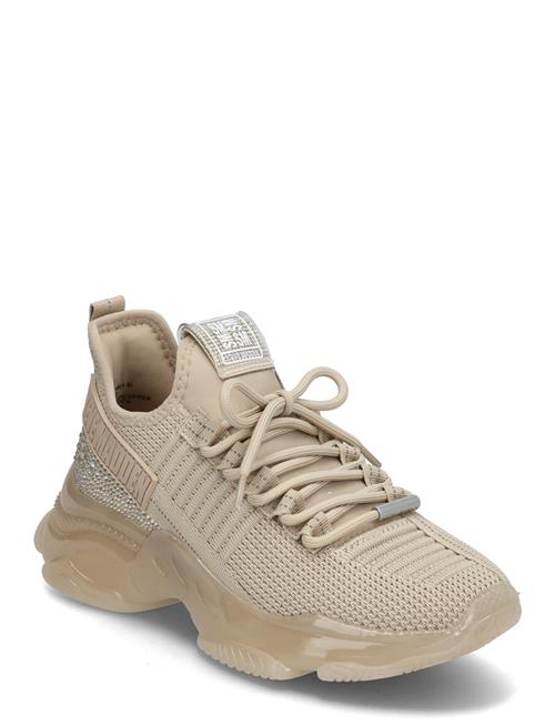 Maxilla-R-E Sneaker Steve Madden Beige