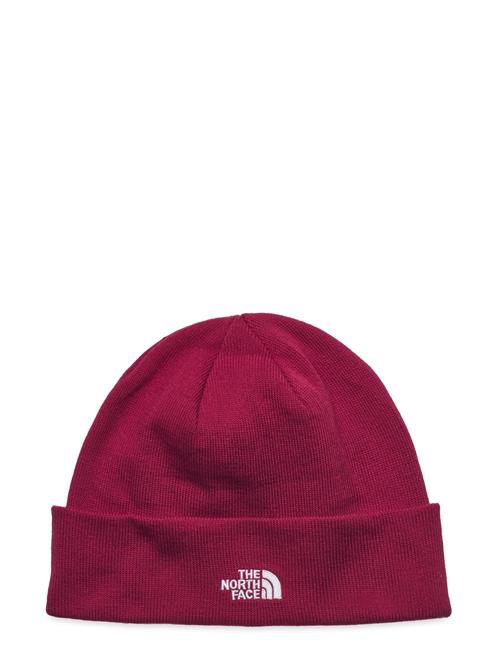 Norm Shallow Beanie The North Face Burgundy