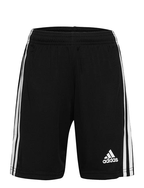 Squadra 21 Short Youth Adidas Performance Black