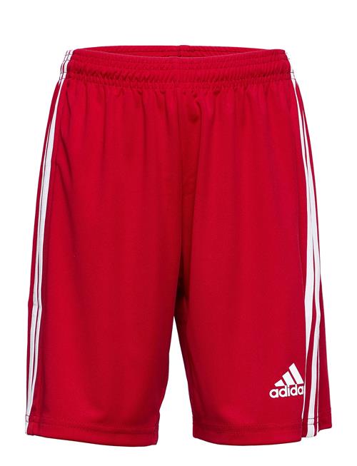 Squadra 21 Short Youth Adidas Performance Red