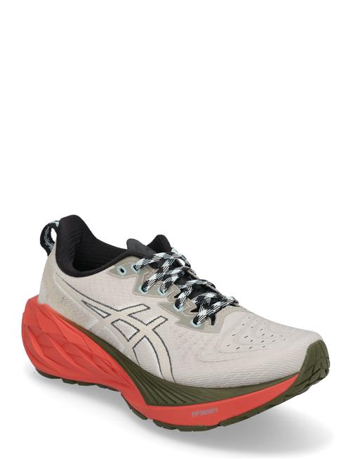 Novablast 4 Tr Asics Grey