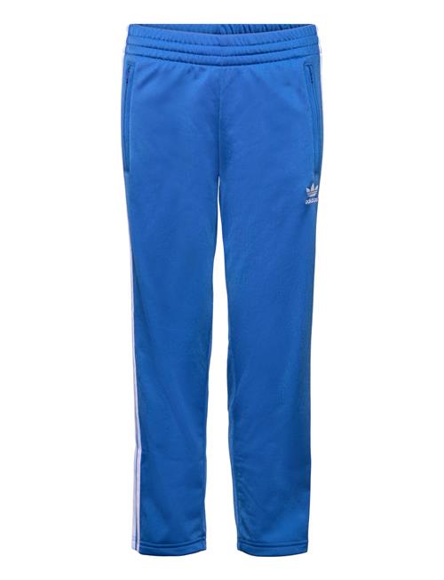 Firebird Pants Adidas Originals Blue