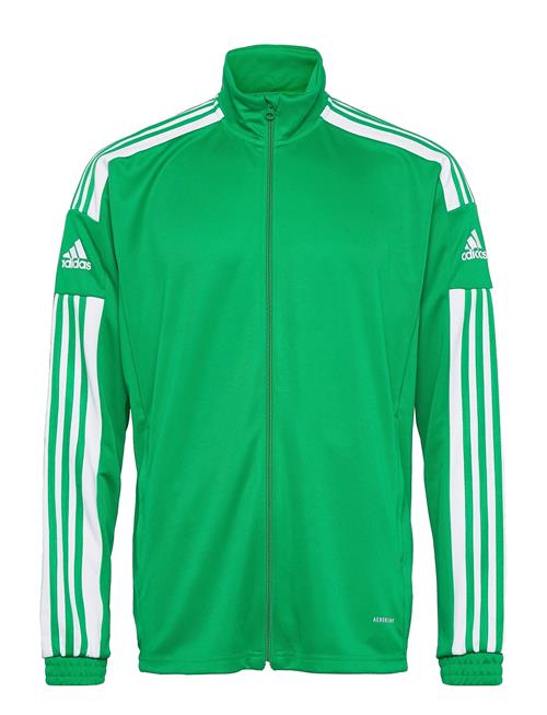 Squadra21 Training Jacket Adidas Performance Green