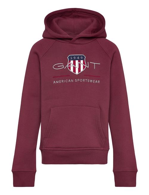 Se Archive Shield Hoodie GANT Burgundy ved Booztlet