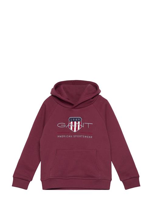 Archive Shield Raglan Hoodie GANT Red