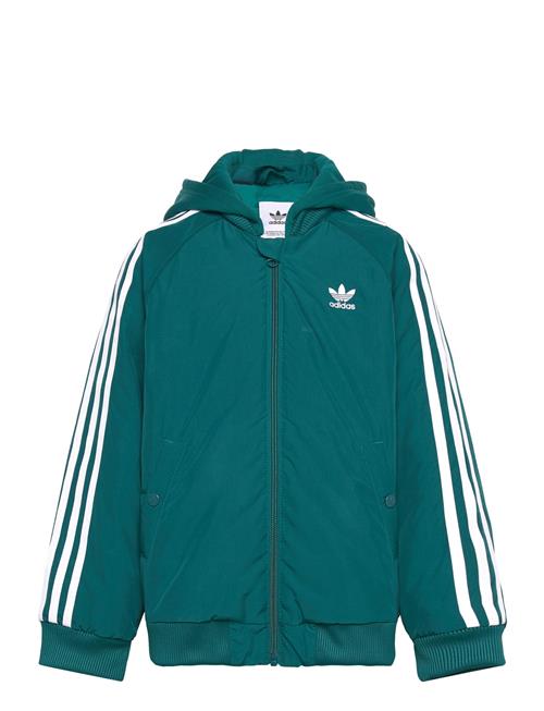 Bomber Jacket Adidas Originals Green