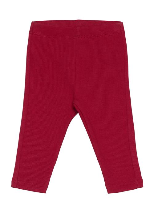 Leggings Rib Newborn Lindex Burgundy