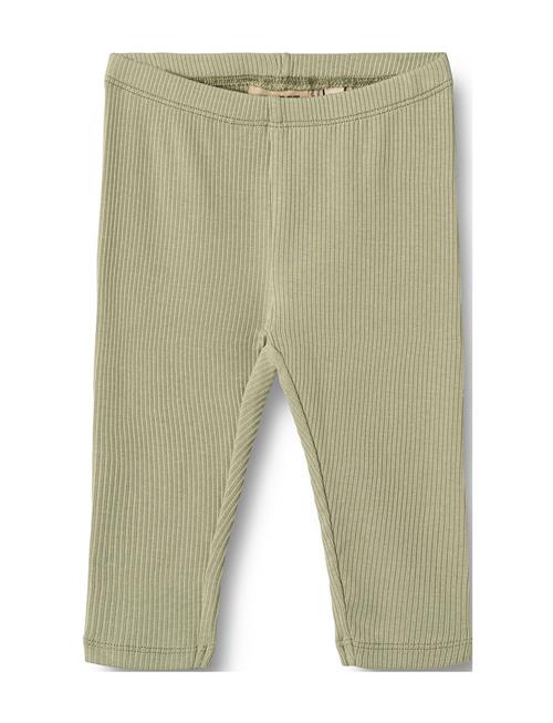 Leggings Jules Wheat Green