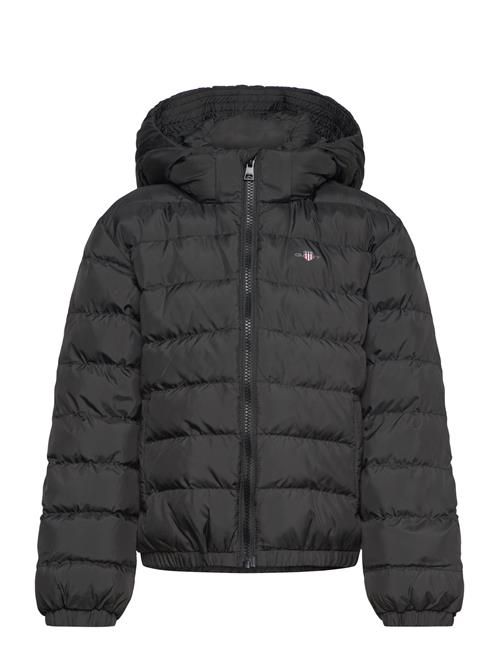 Shield Padded Jacket GANT Black