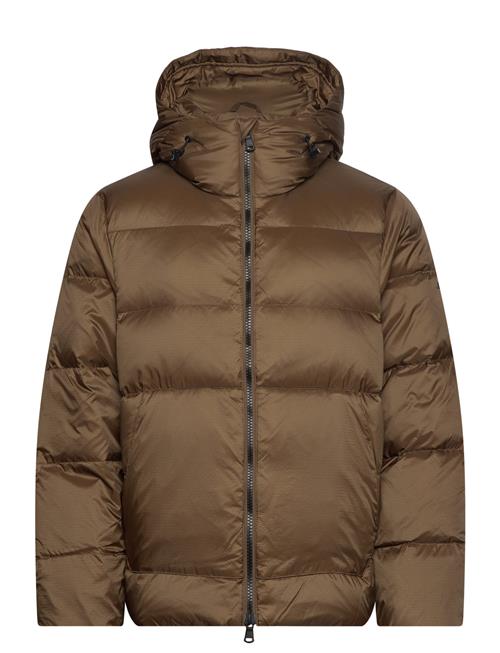 Farrell Down Jacket J. Lindeberg Brown