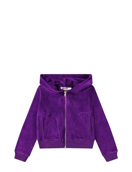 Milla Molo Purple