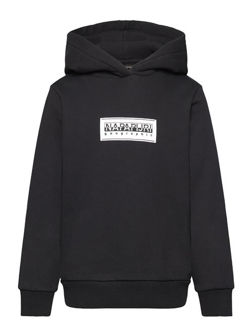 Chamois Hoodie Napapijri Black