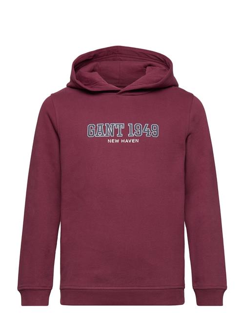 Gant 1949 Hoodie GANT Burgundy