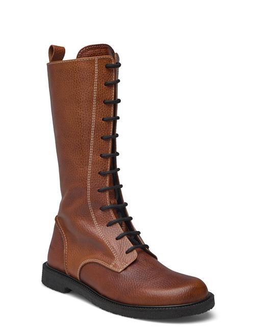 Boots - Flat - With Laces ANGULUS Brown