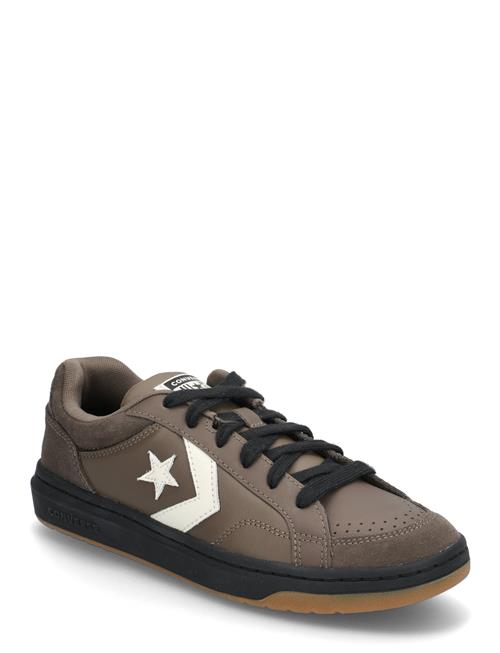 Pro Blaze Classic Converse Brown