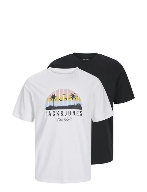 Jack & Jones Jjpalm Tee Ss Crew Neck 2Pk Mp Jack & J S Black