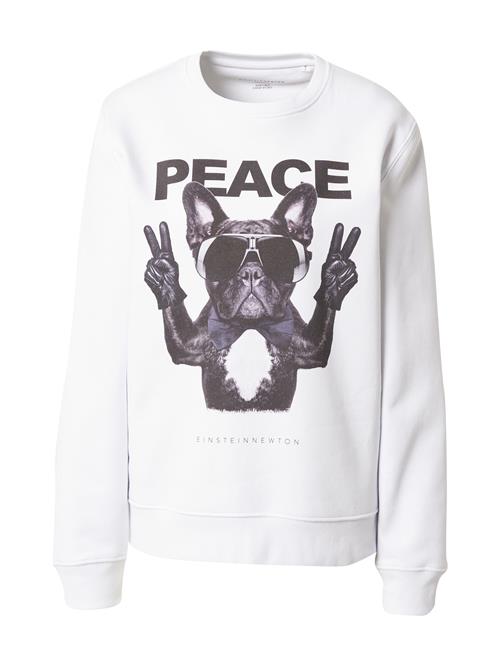 EINSTEIN & NEWTON Sweatshirt 'Frenchie Peace'  antracit / basalgrå / lysegrå / hvid