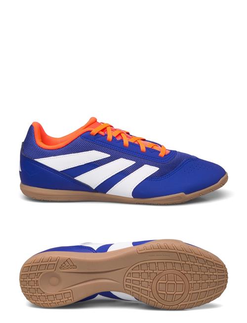 Predator Club Football Boots Indoor Sala Adidas Performance Blue