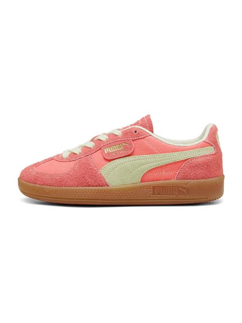 Se PUMA Sneaker low 'Palermo'  kit / koral / laks ved About You