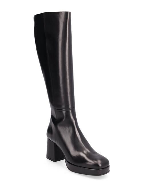 Long Boots Billi Bi Black