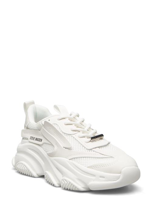 Possession-E Sneaker Steve Madden White