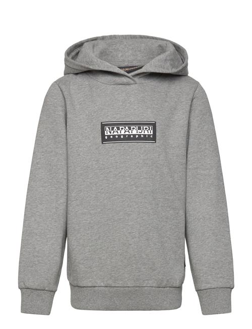 Chamois Hoodie Napapijri Grey