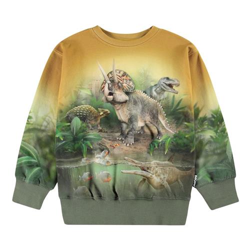 Molo Mattis Sweatshirt Forest Dinos | Grønn | 116 cm