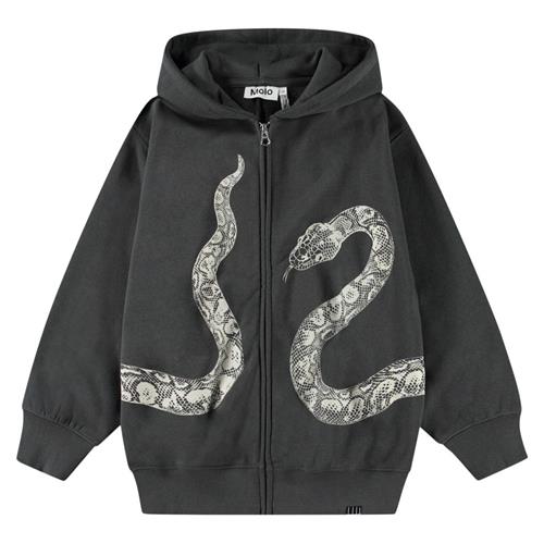 Molo Mazzo Hoodie Unexplored | Grå | 152 cm