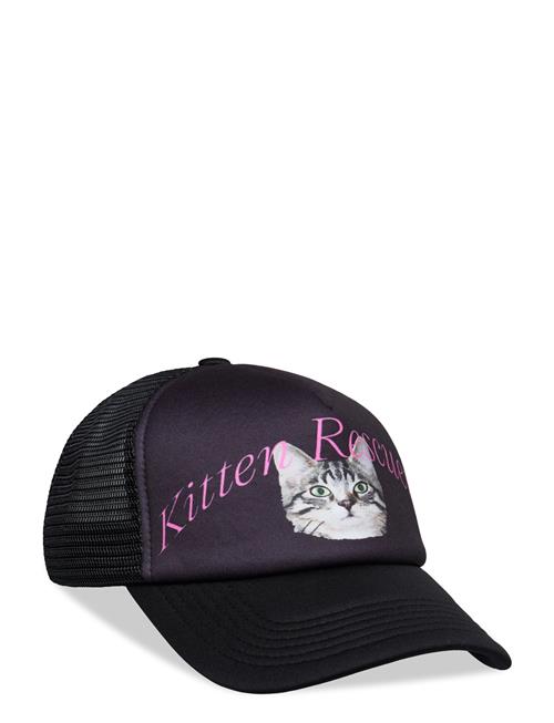 Kitten Rescuer Pica Pica Black