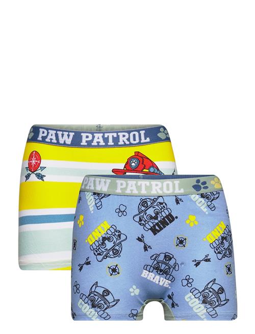 Boxer Paw Patrol Patterned