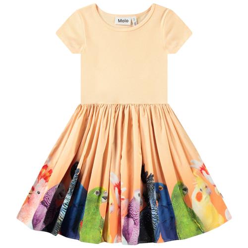 Molo Cissa Short-Sleeved Dress Rainbow Parrots 110/116 cm  Orange.  110/116 cm  kvinde