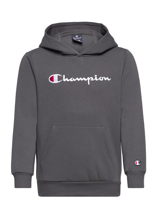 Hooded Sweatshirt Champion Grey