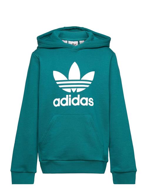 Trefoil Hoodie Adidas Originals Green