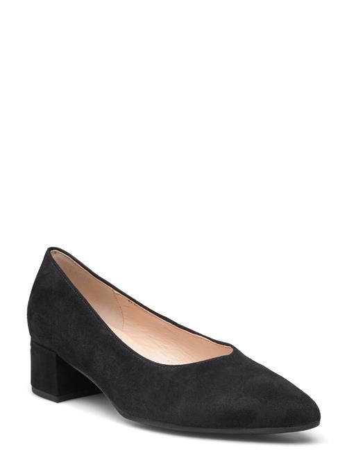 Pumps Gabor Black