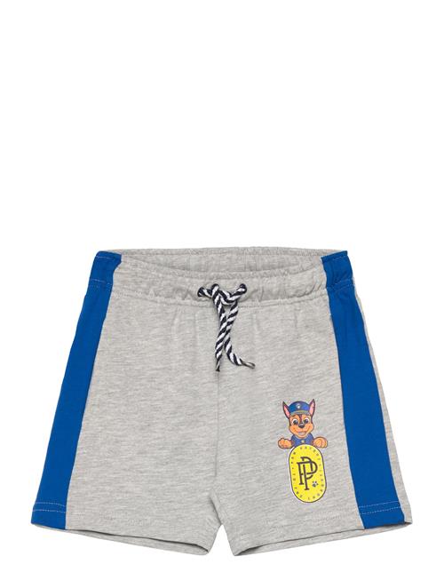 Shorts Paw Patrol Grey