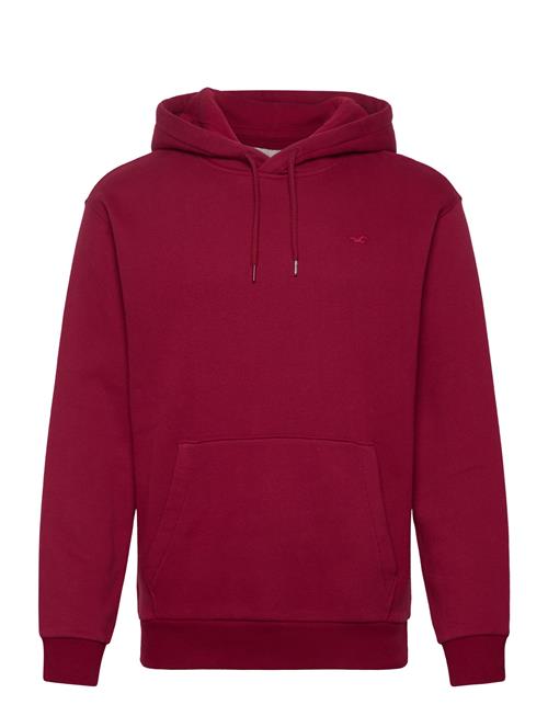 Hco. Guys Sweatshirts Hollister Burgundy