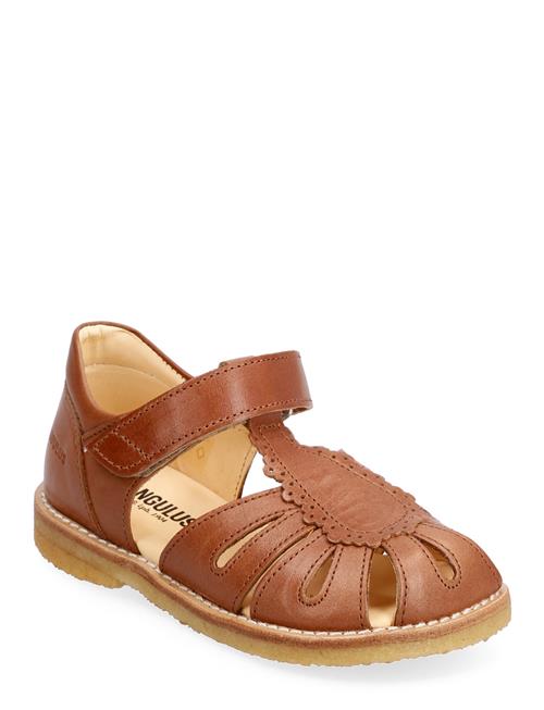 Sandals - Flat - Closed Toe ANGULUS