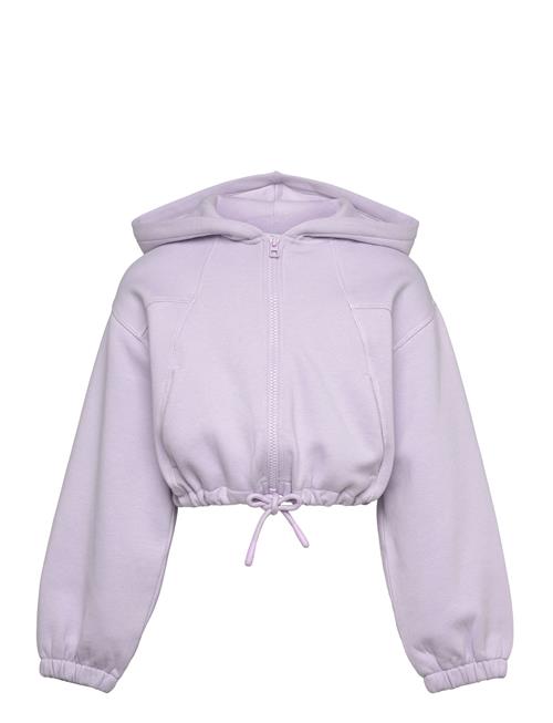 Cropped Cutline Hoody Jacket Tom Tailor Purple