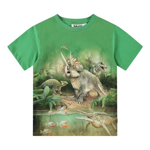 Se Molo Riley Short Sleeve T-Shirt Jungle Dinos 92 cm  Grøn  92 cm  mand ved Babyshop