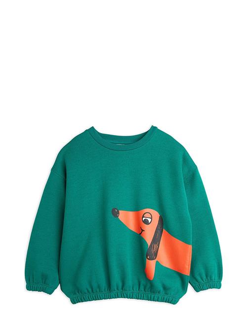 Dog Sp Sweatshirt Mini Rodini Green