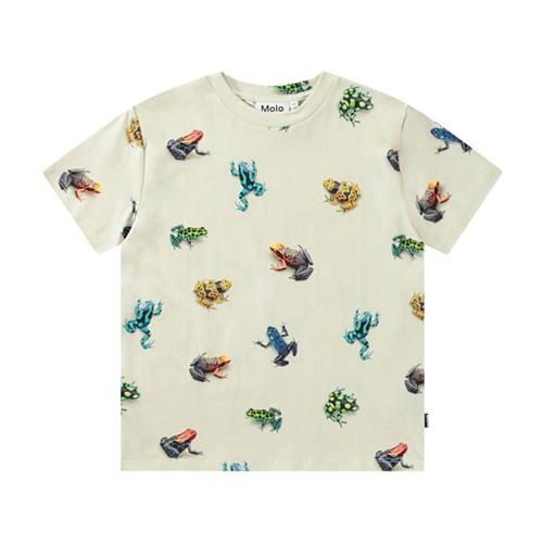 Molo Roxo Short Sleeve T-Shirt Vibrant Frogs 128 cm  Beige  128 cm  mand
