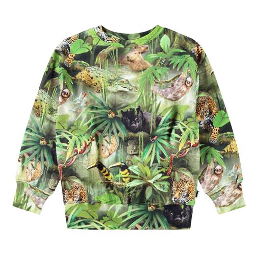 Molo Mattis Sweatshirt Jungle Animals | Grønn | 116 cm