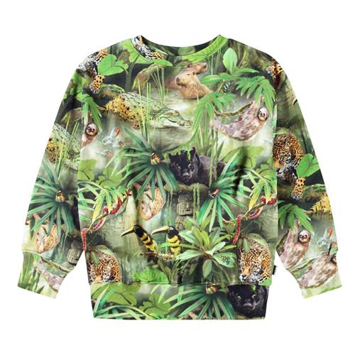 Molo Mattis Sweatshirt Jungle Animals 140 cm  Grøn  140 cm  mand