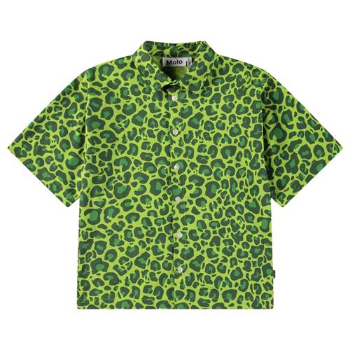 Molo Richie Long Sleeve Shirt Jaguar_green 110/116 cm  Grøn  110/116 cm  mand