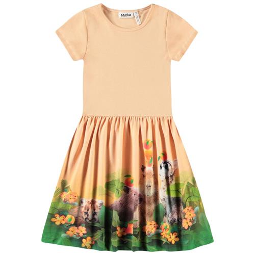 Molo Cissa Short-Sleeved Dress Jungle Games 146/152 cm  Orange.  146/152 cm  kvinde