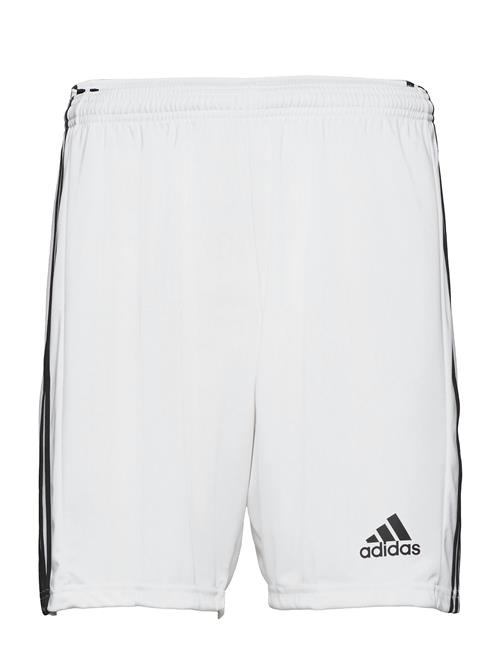 Squadra 21 Short Adidas Performance White