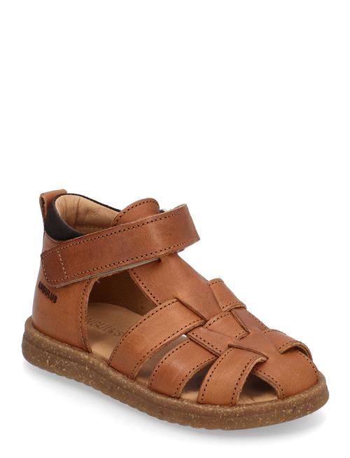 Sandals - Flat - Closed Toe ANGULUS Brown