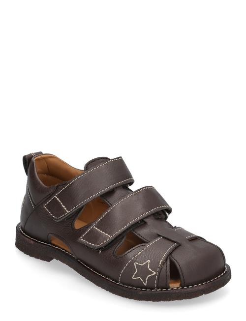 Sandals - Flat - Closed Toe ANGULUS Brown